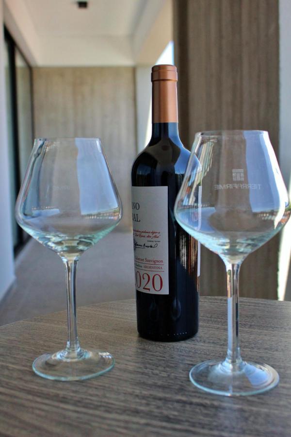 Relax & Comfort Apartment Mendoza